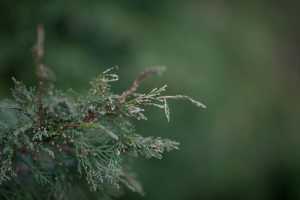 IMG_0427.jpg