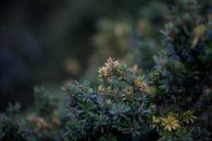 IMG_0489.jpg